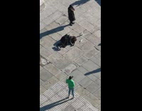 Lady Lays on Floor to Take Pictures