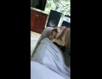 Cute grey excited fat bulldog grey couch