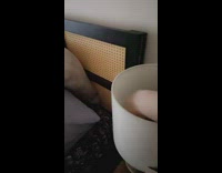 Black dog in bed sighs at light