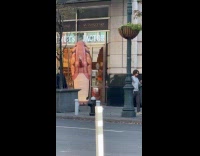 Side view Nuts Factory waving inflatable mascot