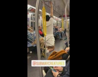Pt. 2 Guy white shirt hands from handrail on ceiling on subway train pull ups