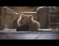 Brown pomeranian dog stuffed animal toy house 