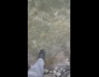 Guy walks on small pond slips on ice 