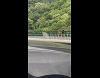 Man carry and hug woman railings couple