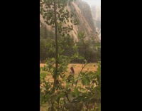 White shirt girl poses flips hair grass 