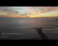 Drone shot lake fishing large fish numbers