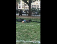 Guy practices martial arts kicks tree park 