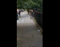 Collab WINY - Man throw soda can at racoon and missed