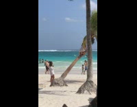 Collab IITW - Girl white sleeves climb coconut tree beach