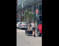 Man pushing trolley with trees 