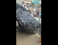 Big pigeon costume on street