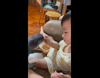 Little kid tries to feed dinosaur toy