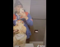 Flip switch guy golden retriever white bandana 