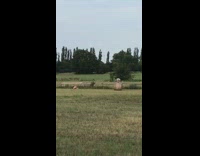 Guy kneel over giant hay roll farm