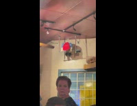 Swinging annabelle doll spinning bar 