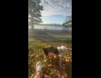 Random DJ plays party music at park