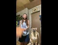 Woman does relationship trend with dog 