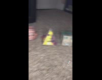 Different obama face items in room