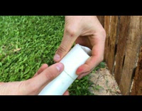 Guy shows strings inside banana plant core part 2