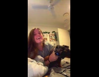 Dachshund dog mouth open bite