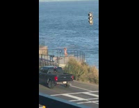 Girl tiktok dance beach viewpoint ring light 