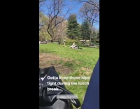 Guy hula hoops in the park by himself during lunch break