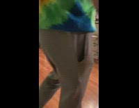 Cat and dog play fight each other in kitchen