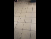 Person dressed as Gon Freecss on subway