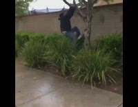 Guy hanging upside down on branch falls