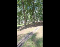 Couple disc golfing turned into fun chaos