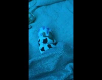 Baby Sleeps with its Eyes Sightly Open