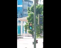 Traffic light with animated green person light