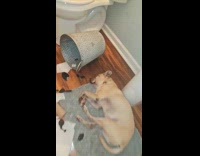 Guy wake up dog sleep beside mess