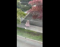 Woman in a pink dress dances on the sidewalk