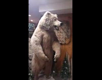 Girl appears behind woman bear statue