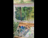 Man paints and sits on top of a tree in the forest Part 1