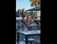 Two girls bikini butt pool chair umbrella