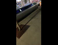 Collab Clips MPUGC - Man sees a challenger limousine on street