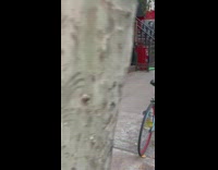 Singing telegram guy pink tutu skirt costume 