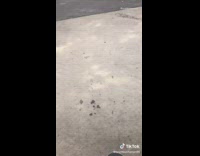 Guy skateboards jumps on platform fail