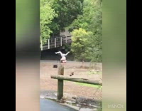 person silver costume next to river