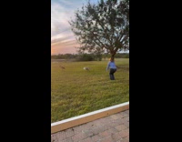 Crane copies womans movements 