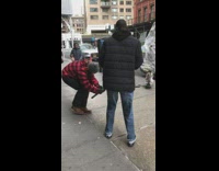 Dog on skateboard photoshoot 