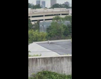 Woman in blue dress poses with tripod on the parking lot
