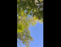 Man jumps on bike trail hits camera