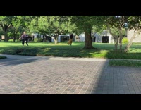 Woman yellow dress ballet spin tree park