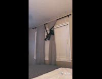 Black monkey jumps from curtain rod kisses