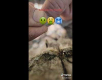 Guy pulls off finger nail wood bark prank