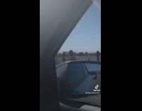 Collab BitchMP - Guy in bear costume walking on side of the road 