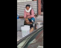 Lady cuts cooked animal head on sidewalk 
